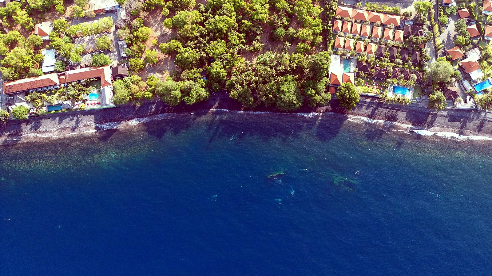 Knowledge that makes your Bali diving holiday better.