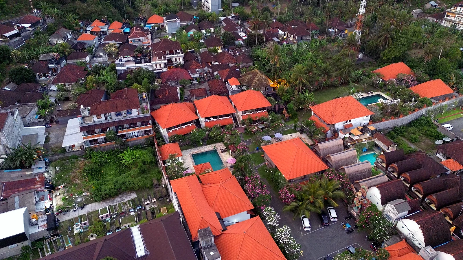 Cover image for the article: Bali Between Dives: Culture, Nature & Slower Roads