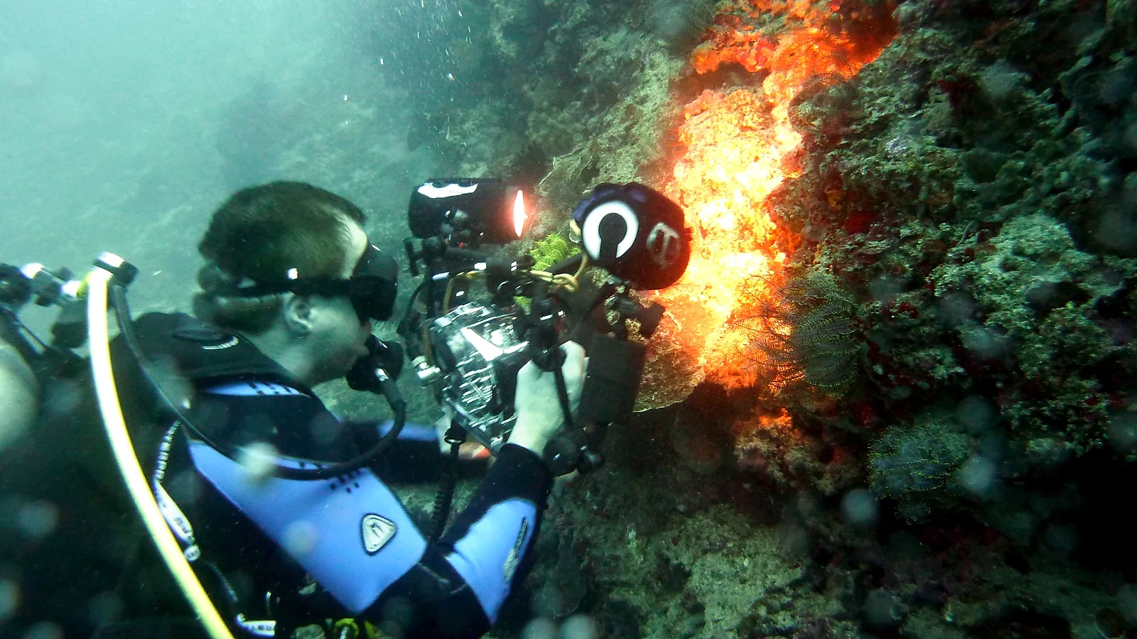 Cover image for the article: USAT Liberty Wreck Tulamben: History Meets Reef