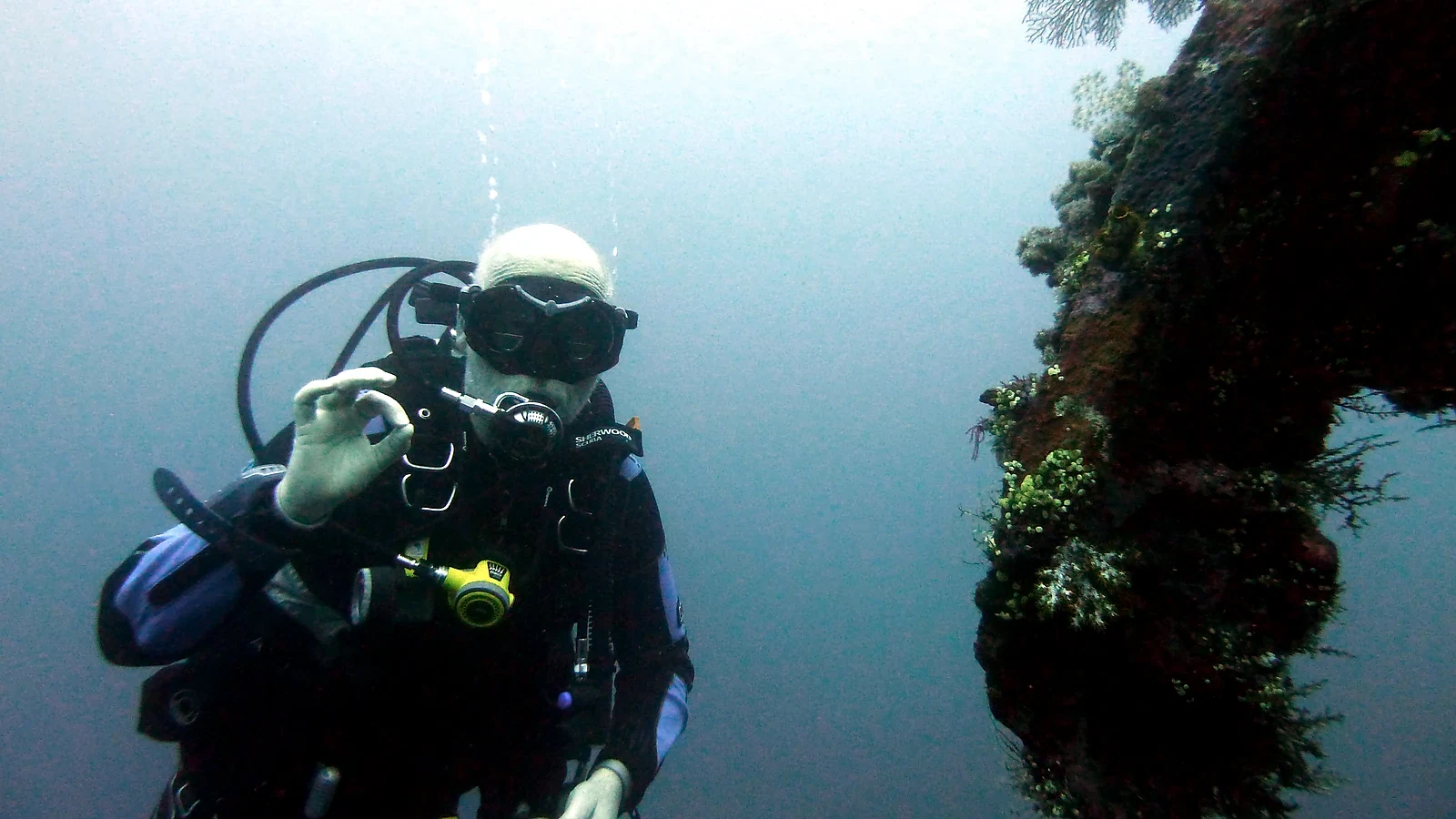 Cover image for the article: Responsible Diving in Bali: Reefs & Wildlife