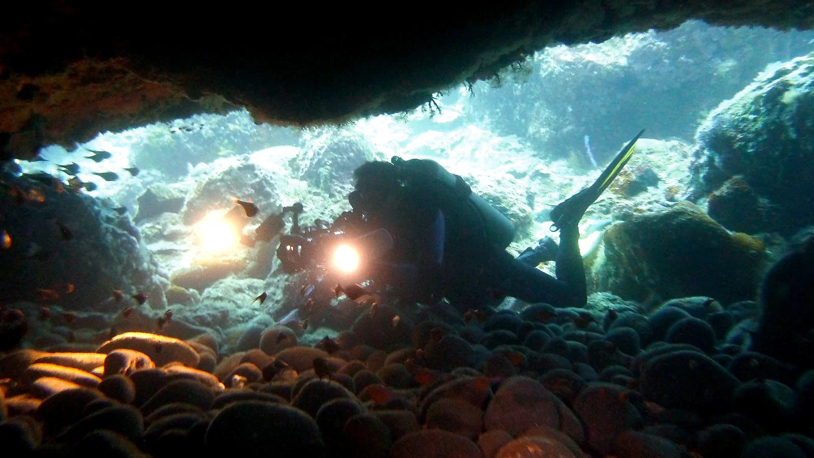 Cover image for the article: Safe Diving in Bali: Health, Insurance & Flying