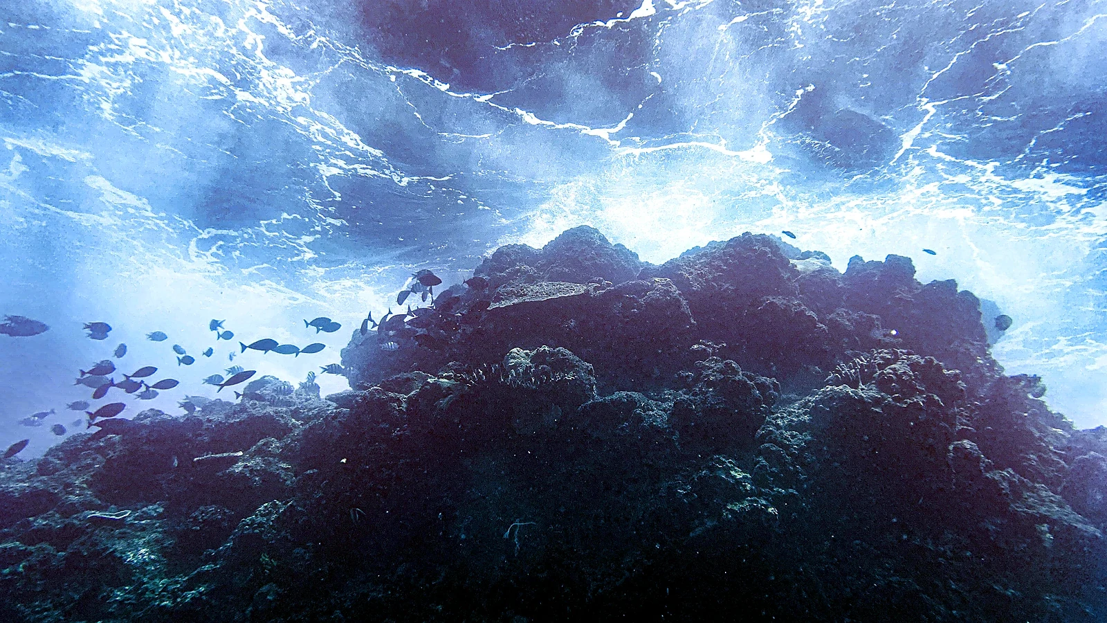 Bali in motion. Made to move you.