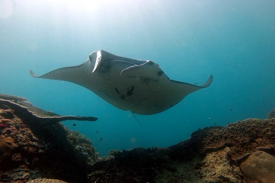 Nusa Penida
