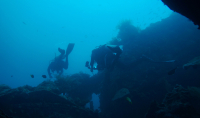 Diving in Bali Diving in Bali