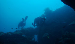 DSC07335.jpg