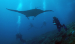 Underwater world of Bali