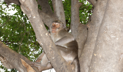 DSC07931.jpg