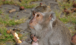 DSC07952.jpg