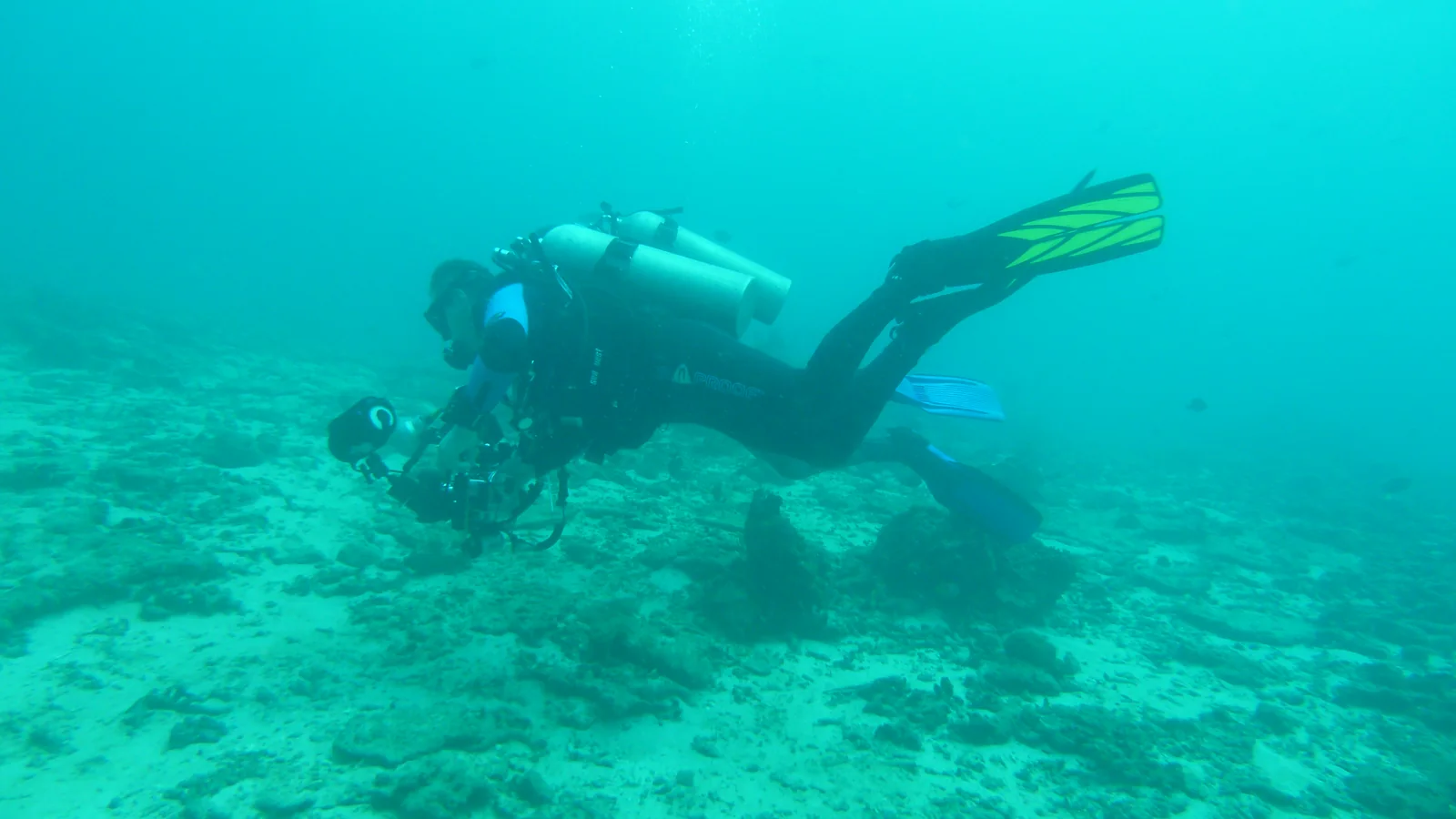 PADI Divemaster in Bali