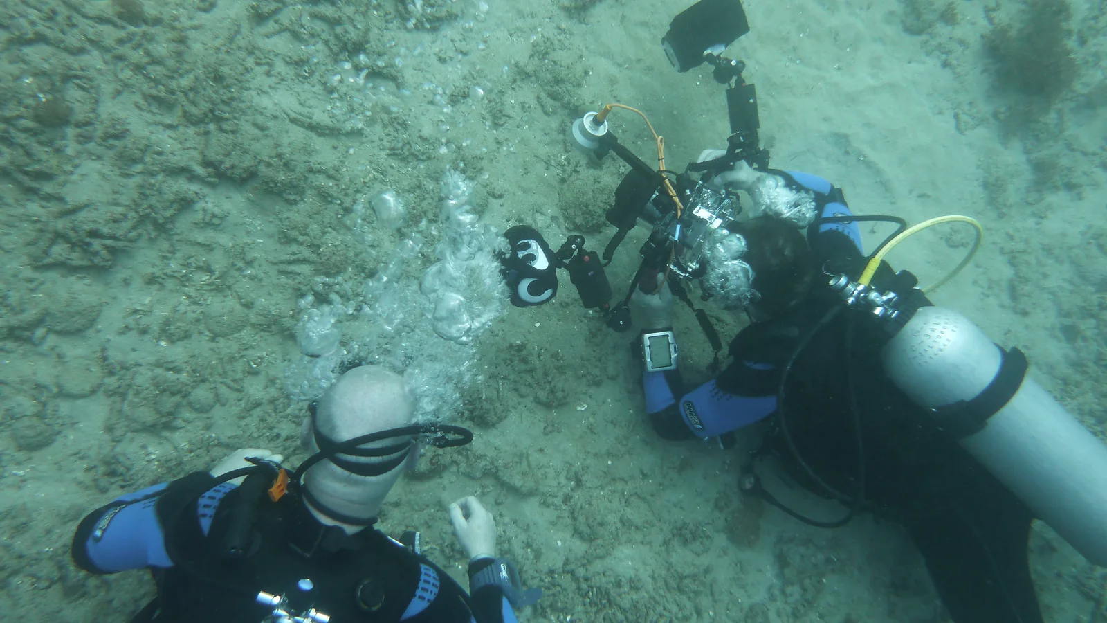PADI Rescue Diver & EFR in Bali