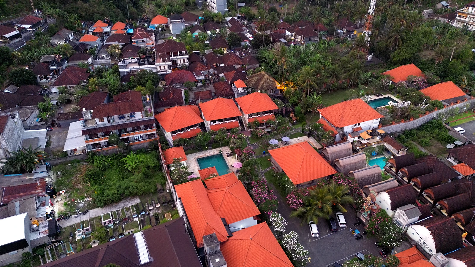 Bali Between Dives: Culture, Nature & Slower Roads