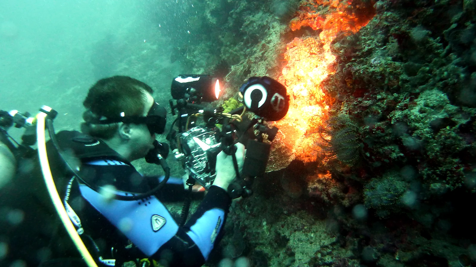 USAT Liberty Wreck Tulamben: History Meets Reef