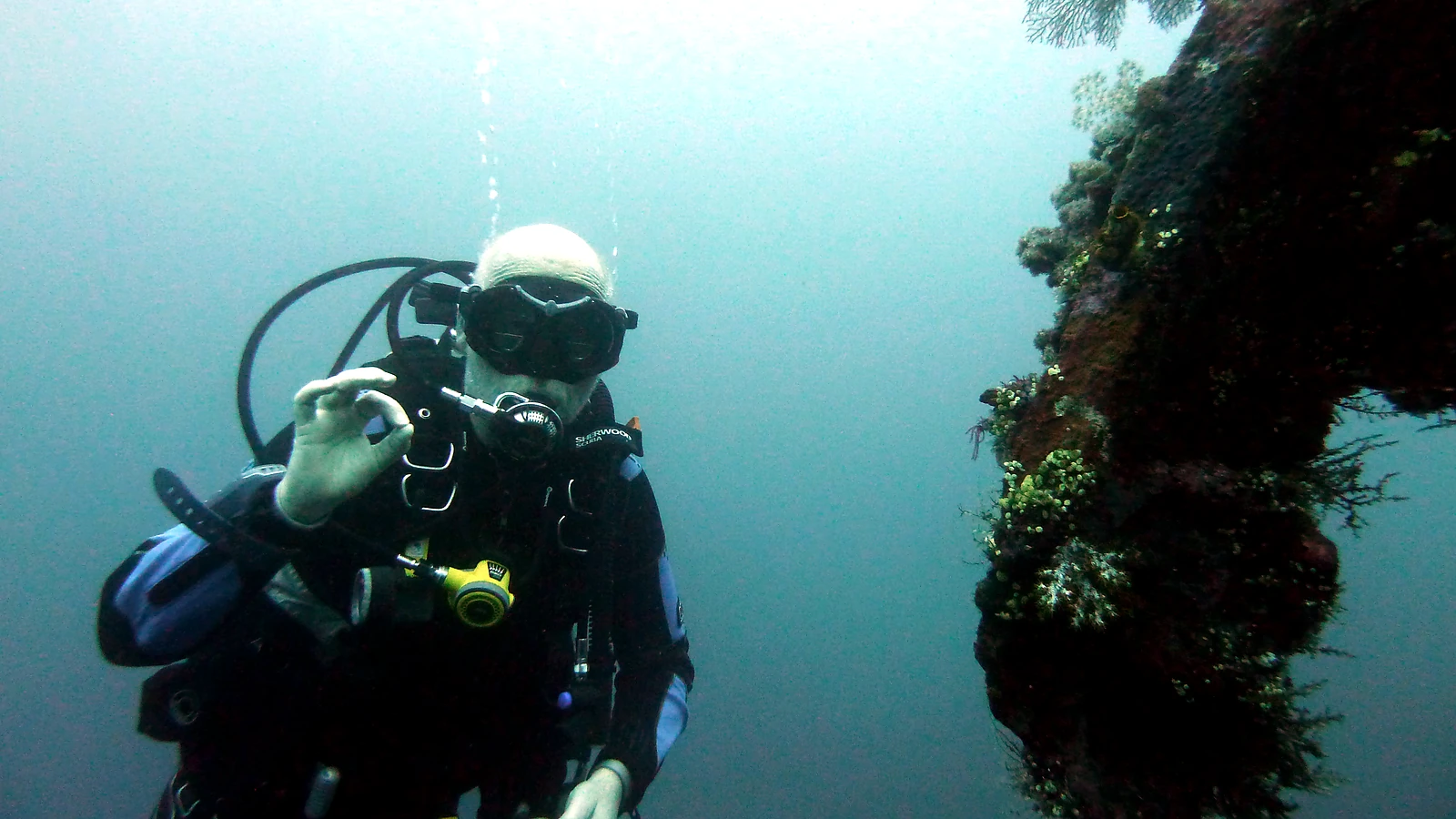 Responsible Diving in Bali: Reefs & Wildlife