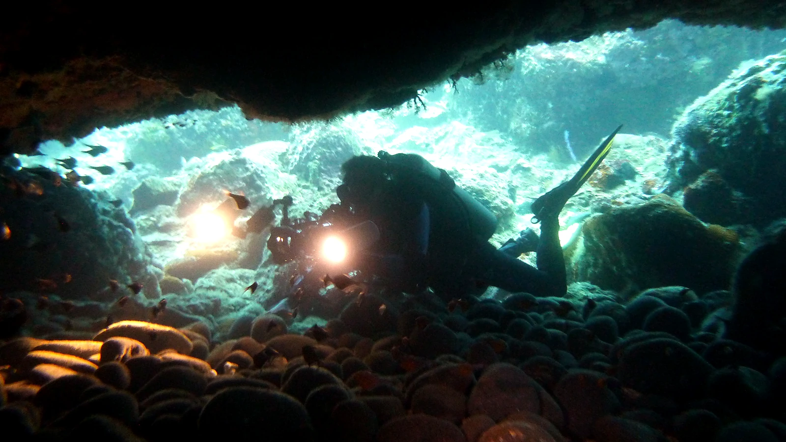 Safe Diving in Bali: Health, Insurance & Flying
