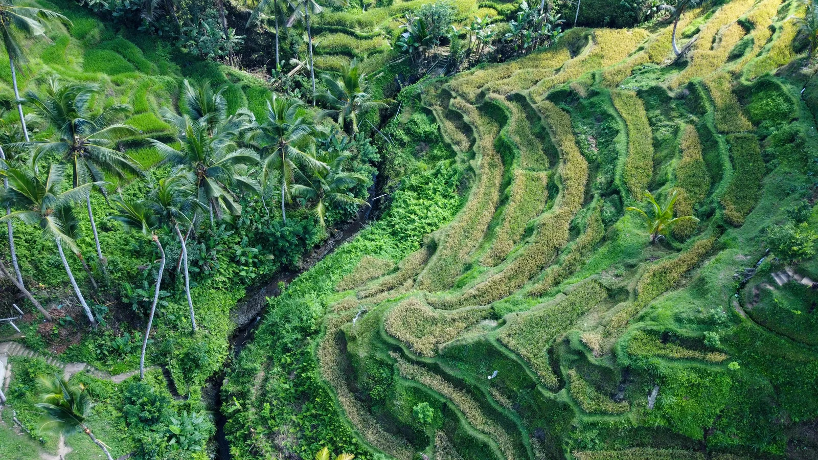 Land & People