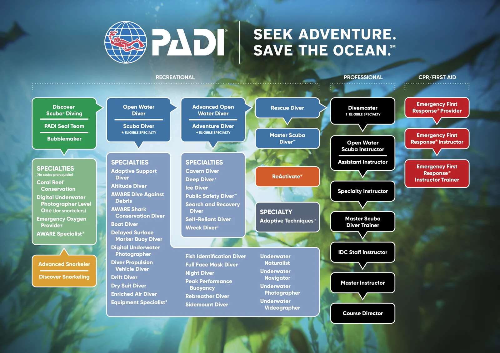 PADI chart showing training levels from entry-level to professional diving