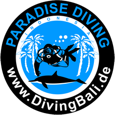 PT. Paradise Diving Indonesia – Bali